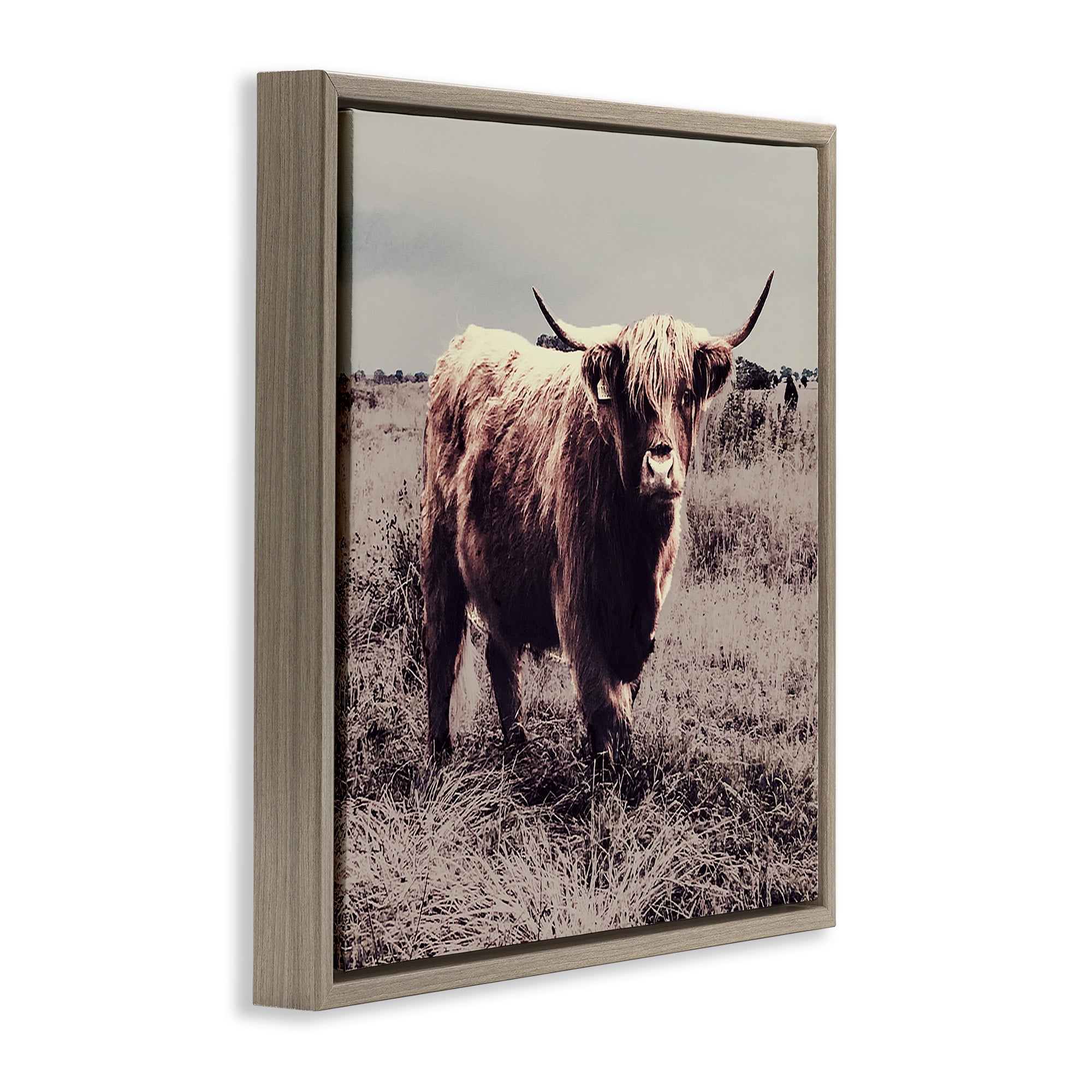 Stupell Industries Farm Cattle Rustic Vintage Styling Animals & Insects Painting Brown Floater Framed Canvas Art Print Wall Art, 18 x 18