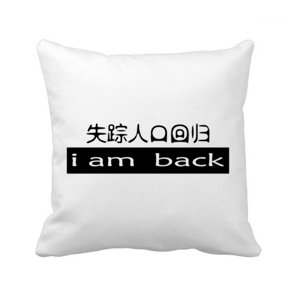 Chinese Words I Disappeared Now I Am Back Throw Pillow Sleeping Sofa