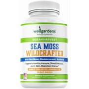 Sea Moss Capsules – 100% Pure Irish Sea Moss, Bladderwrack, Burdock Root – Organic Superfood for Immunity, Joints, Skin, Digestion, Energy - All Natural, Non-GMO, Made in USA - 30 Day Supply