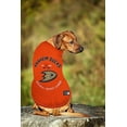 thumbnail image 4 of Anaheim Ducks Hockey Dog T-Shirt, 4 of 5