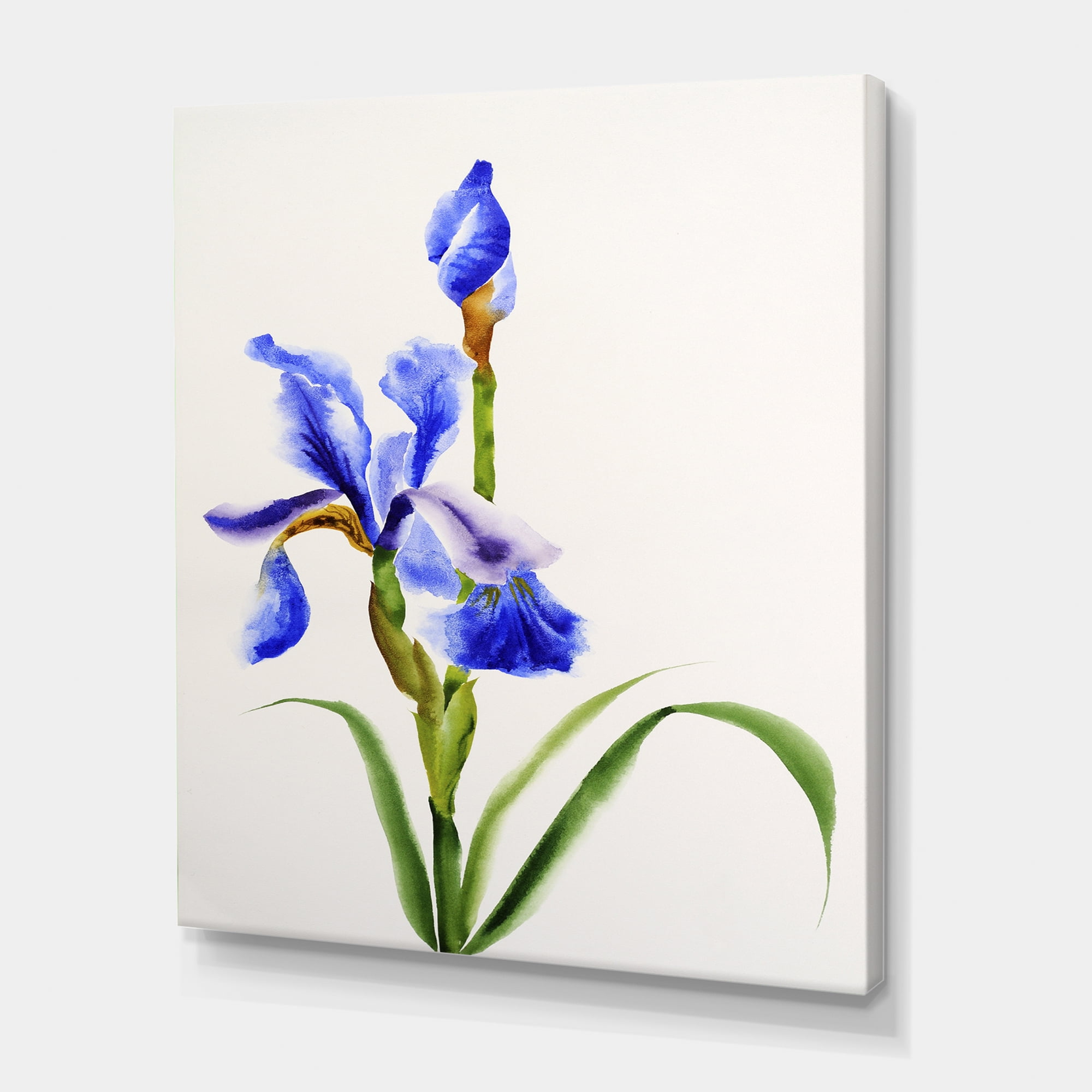 花卉圖7 Free Shipping! Designart Blue Iris Flower 30x40 in Framed