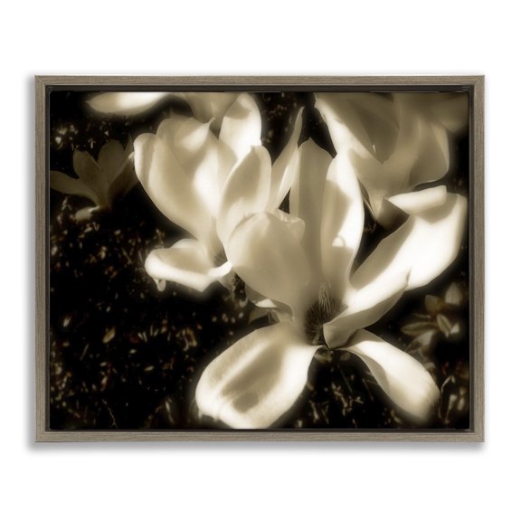 Stupell Industries Traditional Plant Petals in Nature Brown Floating Frame Canvas Art, 21 x 17, by Noah Bay