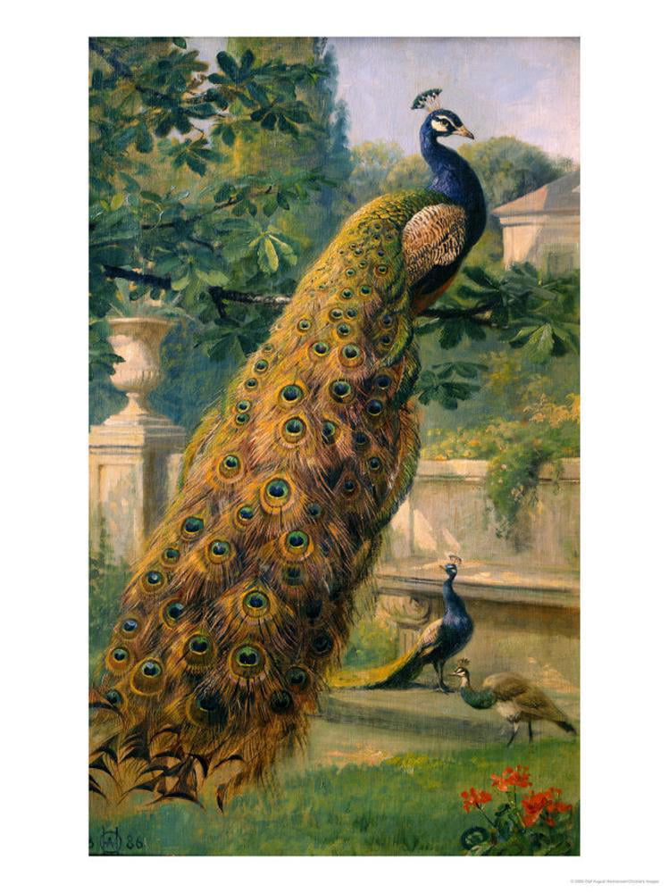 Peacocks in the Park, 1886, Unframed Giclee Wall by Olaf Hermansen - Walmart.com - Walmart.com