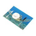 thumbnail image 2 of BSDHOME Ensemble de Table Tortue de Mer Tapis Alimentaire 12x18 Pouces, 2 of 4