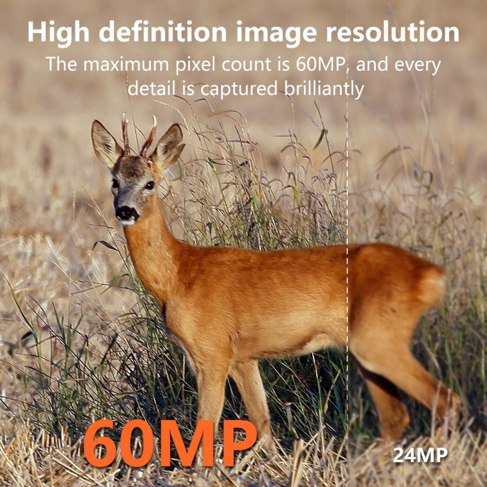WiFi Trail Camera with Infrared Night Vision, Motion Activated Game Camera with Type-C Charging, High Resolution Wildlife Camera with IP66 Waterproof for Outdoor Use