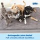 thumbnail image 4 of Orthopedic Dog Bed with Memory Foam, Premium Comfort for Dogs and Puppies, Dog Bed for Joint Relief and Restful Sleep, Durable and Easy to Clean - Espresso, Large, 4 of 5
