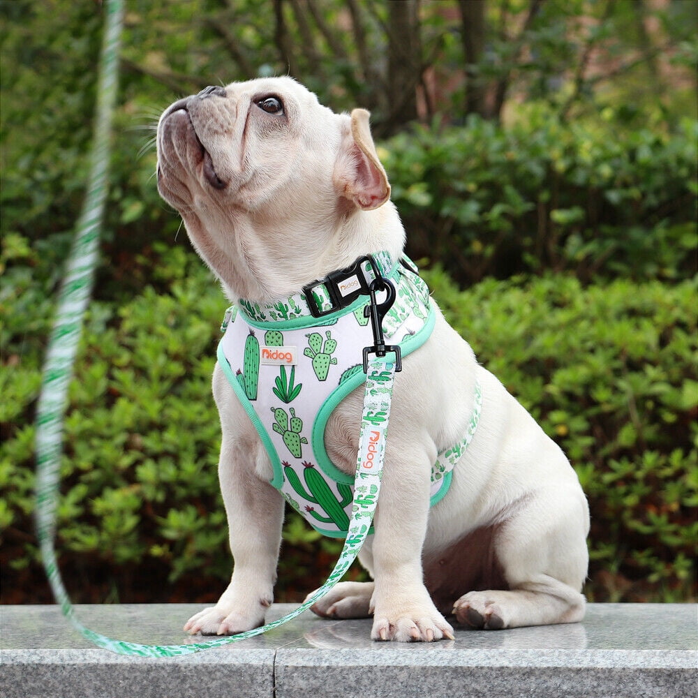 Didog 3pcs/set Cute Pet Dog Collar & Leash & Harness Soft Mesh Walking Vest Adjustable