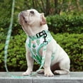 thumbnail image 3 of Didog 3pcs/set Cute Pet Dog Collar & Leash & Harness Soft Mesh Walking Vest Adjustable, 3 of 3