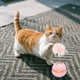 thumbnail image 5 of Juego Interactivo De Juguetes Para Gatos Con Pista Varita Y Vaso Juguetes Para Gatos De Interior Aburrimiento, 5 of 6