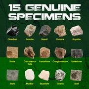 Piano Potato 15PCS Rock & Stone Collection Kit, Geology Minerals Set with Collector Box, STEM Science Gift for Kids Ages 6+