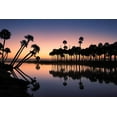 thumbnail image 2 of Jones, Adam 24x17 Gold Ornate Wood Framed with Double Matting Museum Art Print Titled - Sable palms silhouetted at sunrise on the Econlockhatchee River, 2 of 4