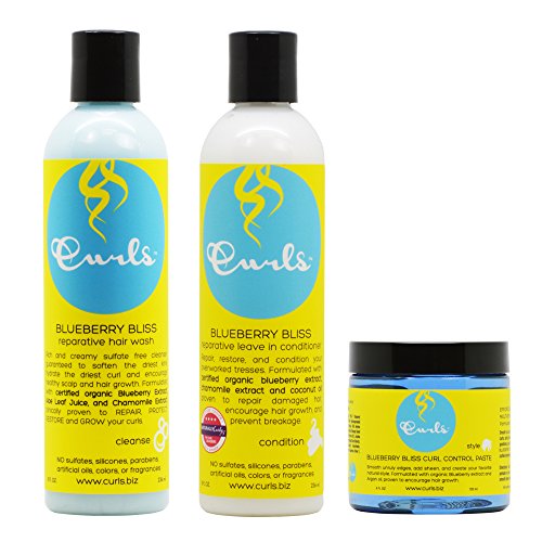 Curls Blueberry Bliss Reparative Hair Wash And Leave In Conditioner 8oz And Curl Control Paste 4oz 