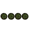 thumbnail image 4 of United Nursery 4 Pack of Live Zebra Plant Green and White Succulent Plants in 4in Grower Pots, 4 of 11