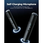 Ikarao Karaoke Machine with Screen, 2 Wireless Mics, 280W Peak Power, Portable Speaker for Music Party