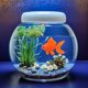 thumbnail image 4 of unbranded 13Ud Peces Artificiales Para Acuario En Plástico Para, 4 of 8