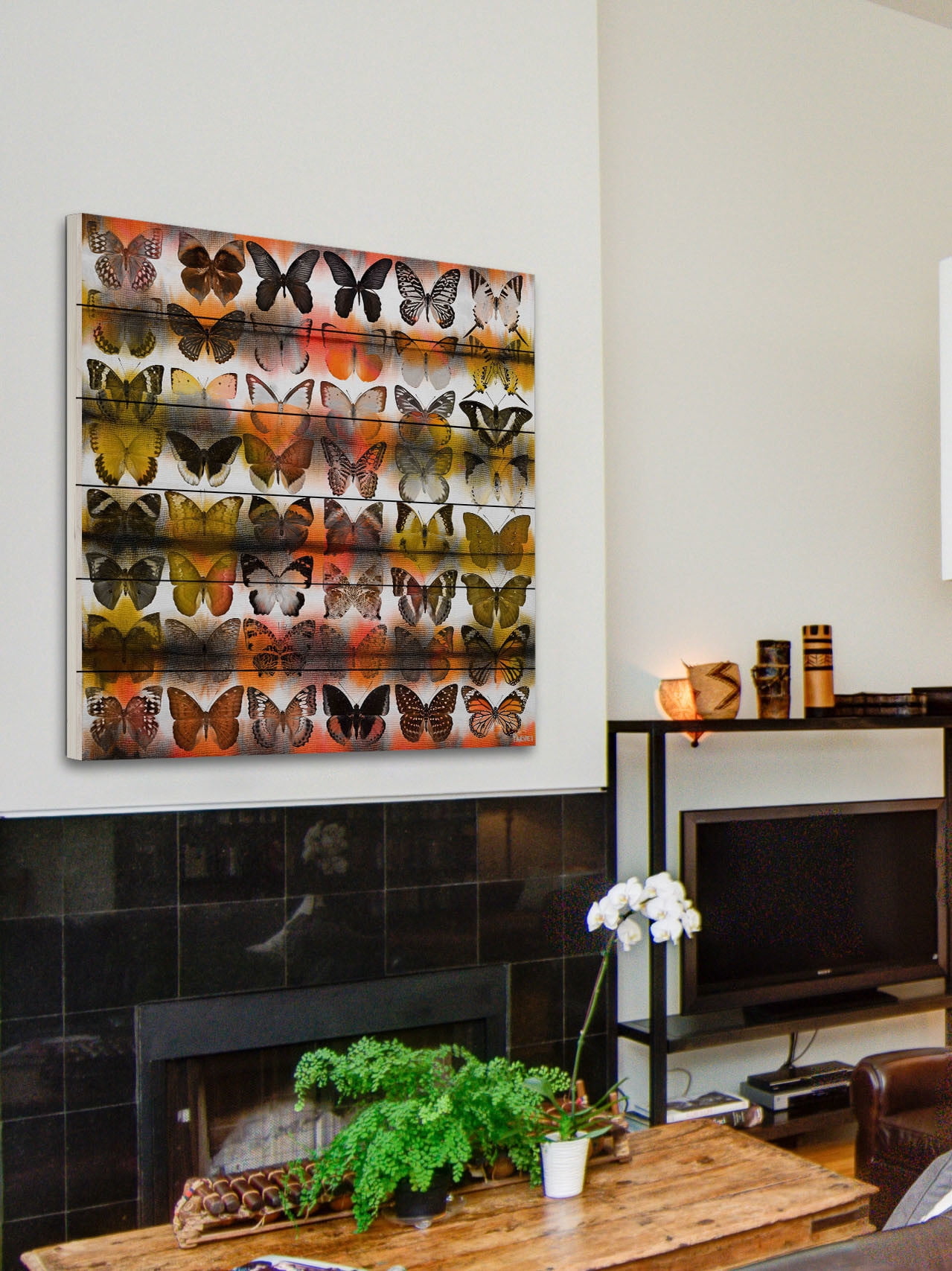 Parvez Taj Moths in Rows Art Print on White Pine Wood