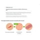 thumbnail image 2 of Pomada Dongkuk Madecassol Care 8 g (paquete de 2) - Calma, 2 of 6