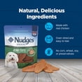 thumbnail image 6 of Blue Buffalo Nudges Jerky Cuts, Natural Dog Treats, Chicken Jerky, 12oz Bag, 6 of 10