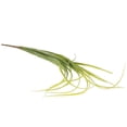 thumbnail image 2 of 1 Bundle Fake Greenery Stems Orchid Grass Artificial Grass Artificial Fake Greenery, 2 of 8