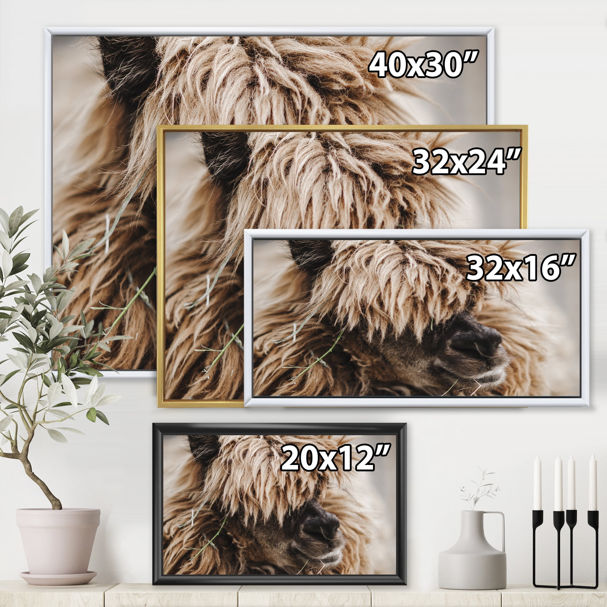 Close Up Of Fluffy Curly Alpaca 32 in x 24 in Framed Photography Canvas Art Print, by Designart
