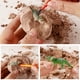 thumbnail image 3 of Kit de excavación de huevos de dinosaurio, paquete de 12 kits de experimentos científicos de excavación de huevos de dinosaurio para niños de 4 a 12 años, cesta de Pascua/relleno de medias, juguetes p, 3 of 7