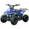 Coolster 110cc Kids ATV 3050C
