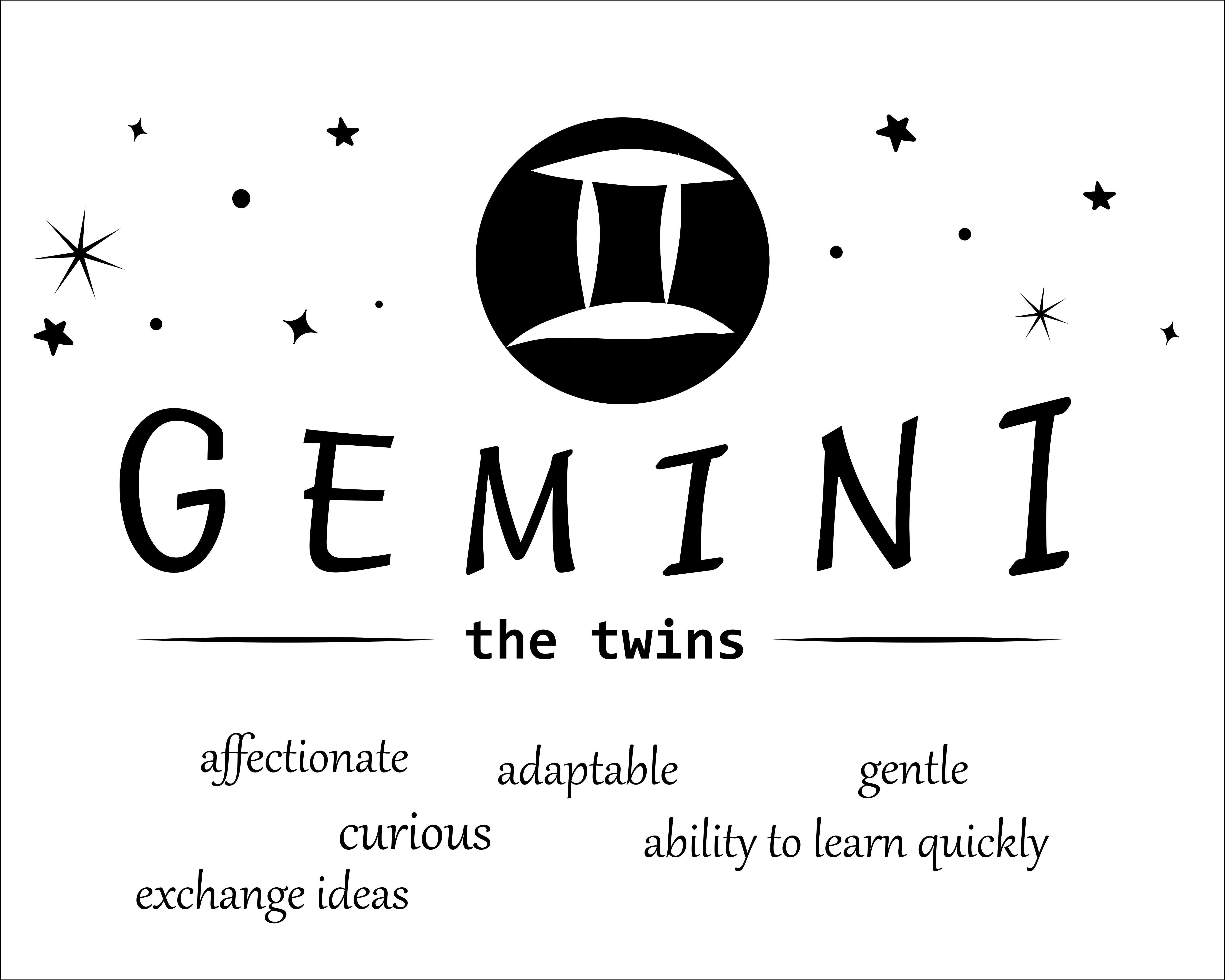 Vinyl Adhesive Gemini Zodiac Symbol Wall Art Decal | The Twins ...