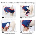 thumbnail image 6 of IDOMIK Dog Surgery Recovery Suit Onesie for Dogs after Surgery Anti Licking Dog Recovery Suit for Small Medium Large Dogs, 6 of 7