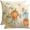 Orange, variant on Hello Fall Pillow Covers 18x18 Set of 2,Pumpkin Eucalyptus Mason Jar Pillow Case,Thanksgiving Outdoor Cushion Covers Decorations for Home Aqua(22-18)