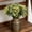 Green, variant on Taicans 14 Inch Artificial Eucalyptus with Baby's Breath Bouquet,Faux Greenery Stems Bundle,Fake Flowers for Wedding,Home Decor,Vase Arrangement,DIY Crafts