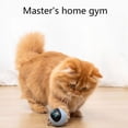 thumbnail image 2 of Pet Electric Smart Automatically Self-biting Funny Catballs Dreaming Toys (electric Storage Battery, Battery Capacity 1000mAh), 2 of 9