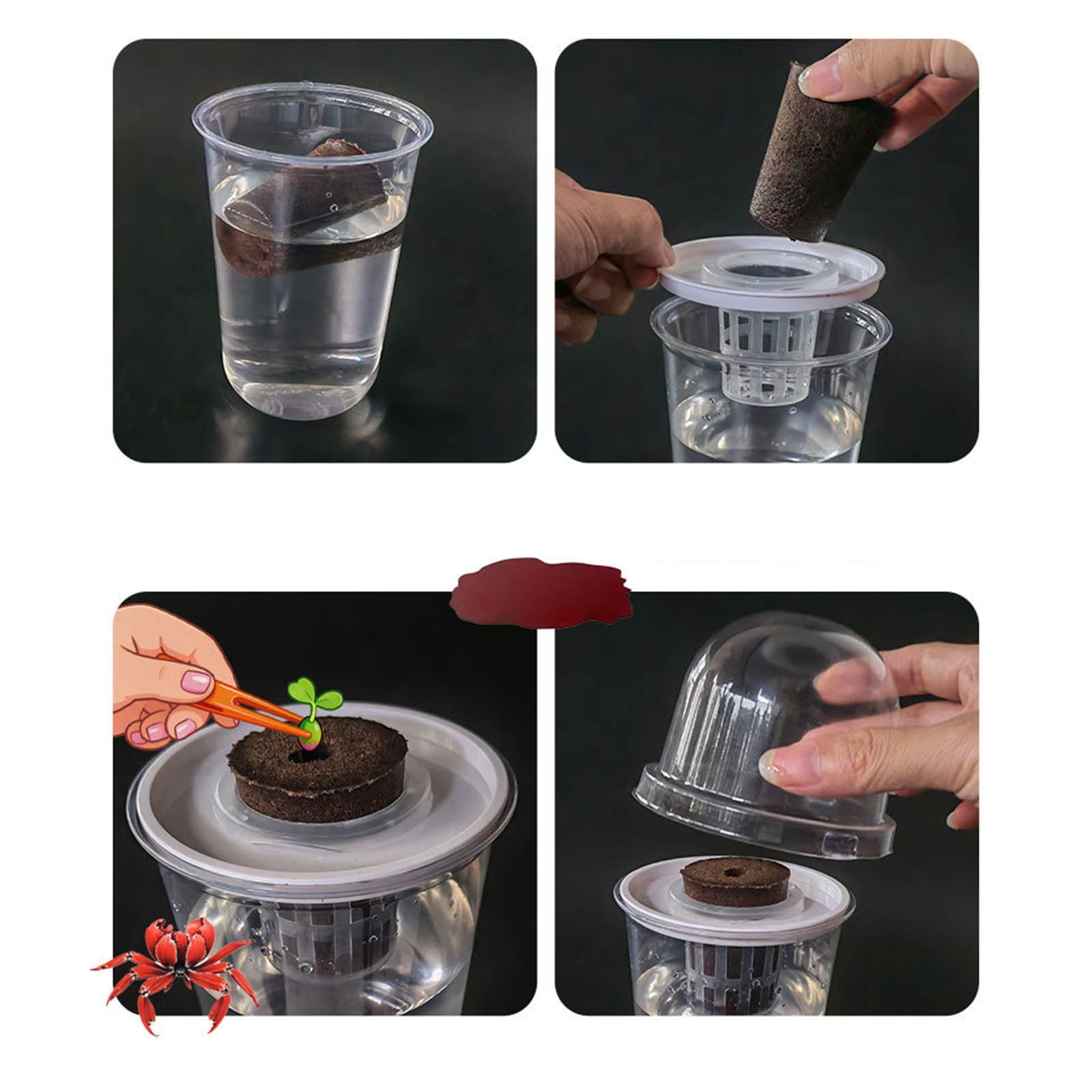 5 Pack Clear Hydroponic Nursery Kit,Transparent Plant Starter Hydroponic Pots for Seed Starting,Hydroponic System for Nursery