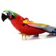 thumbnail image 2 of Águila Eléctrica Águila eléctrica Flying Bird Garden Bird Repele Cat Teaser Play (luz musical) Wdftyju Libre de BPA, 2 of 4