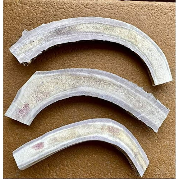 Easy Chews - 3 Pack Sliced Jumbo Deer Antler for Old Dogs or Puppies, Sliced for Easy Marrow Access - Long Lasting