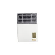 Ashley Hearth AGDV8L 8,000 BTU 200 Sq. Ft. Propane Gas Direct Vent Heater