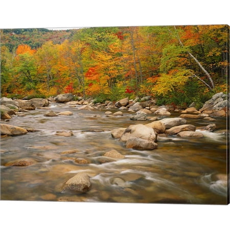 Great Art Now River flowing trough Forest in Autumn White Mountains National Forest New Hampshire by Adam Jones / Danita Delimont Canvas Wall Art 20W x 16H