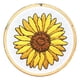 thumbnail image 1 of Juego completo de kit de inicio de bordado, kits de bordado a mano para principiantes con Girasol, 1 of 8