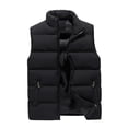 thumbnail image 1 of Men's Autumn/Winter Fashion Solid Colour Warm Down Cotton Zip Vest S, 1 of 4