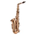 thumbnail image 2 of Eb Alto Saxophone Sax Brass Material Wind Instrument with Carry Case Gloves Cleaning Cloth Sax Straps Tuner, 2 of 7