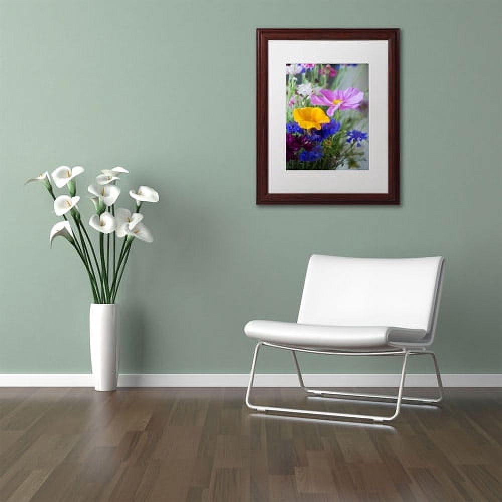 Trademark Fine Art "Cosmo Duo" Canvas Art by Philippe Sainte-Laudy, White Matte, Wood Frame