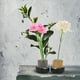 thumbnail image 1 of Kenzan redondo, 2 piezas de cobre y acero inoxidable, accesorios para arreglos florales, flor Kenzan True Excellence, 1 of 10