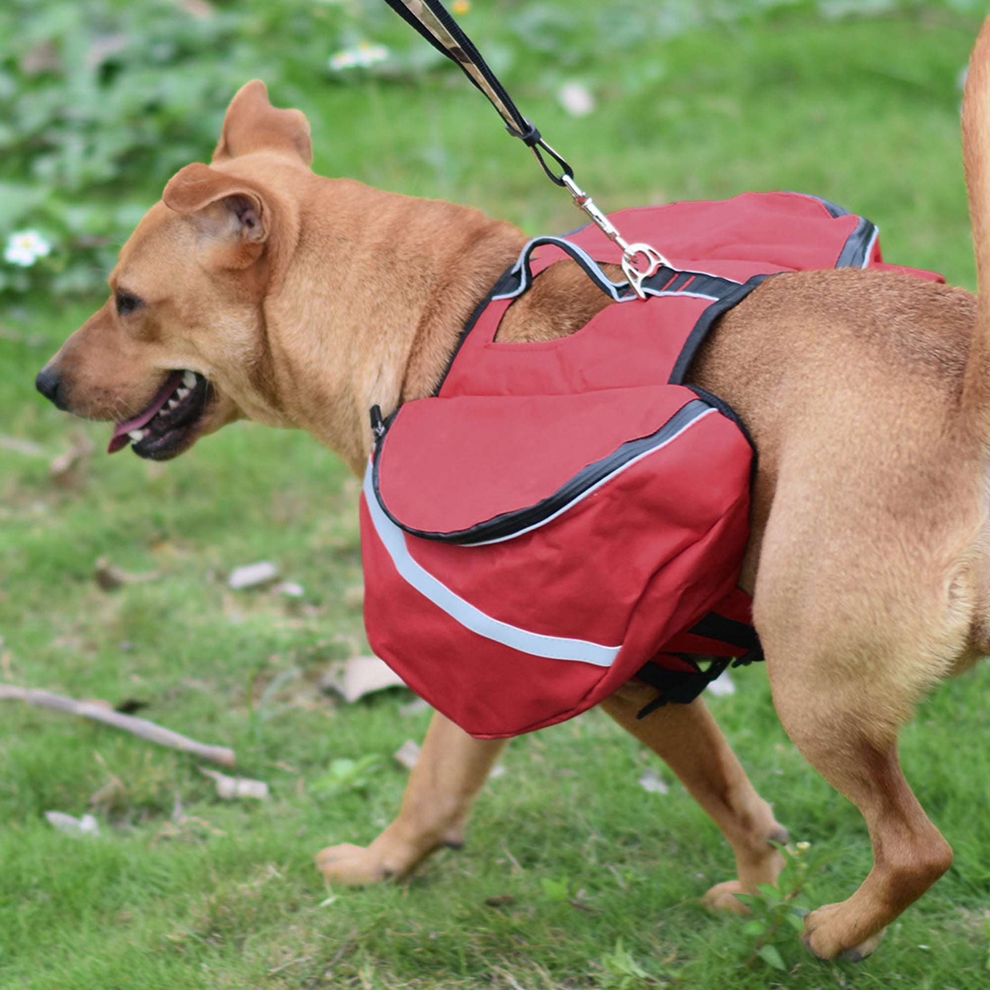 Camping dog lead holder Clearance