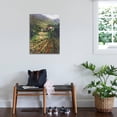 thumbnail image 3 of Art.com Tuscany Vineyard Stretched Canvas Print Wall Art by Art Fronckowiak, 24" x 32", 3 of 4