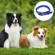 thumbnail image 3 of Collar de perro de lujo de nylon doble grueso MFZFUKR CPB-US-YY482-3, 3 of 5