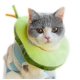 thumbnail image 1 of Cat Collar Avocado Bagel Cat Pet Headgear Anti-lick Ring, 1 of 2