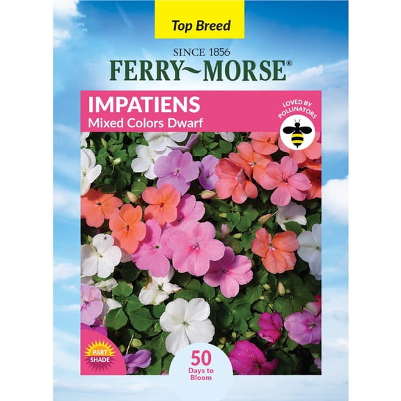 Ferry-Morse 100MG Impatiens Mixed Colors Dwarf Annual Flower Seeds, Full Sun