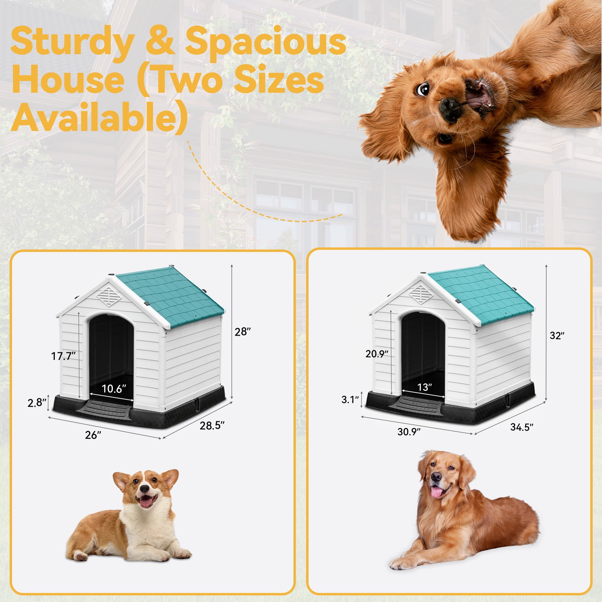 Dextrus Plastic Dog House,Outdoor Indoor Waterproof Dog Houses with Elevated Floor and Air Vents,Durable Ventilate & Easy Clean and Assemble,34.5''L x 30.9''W x 32''H,Blue