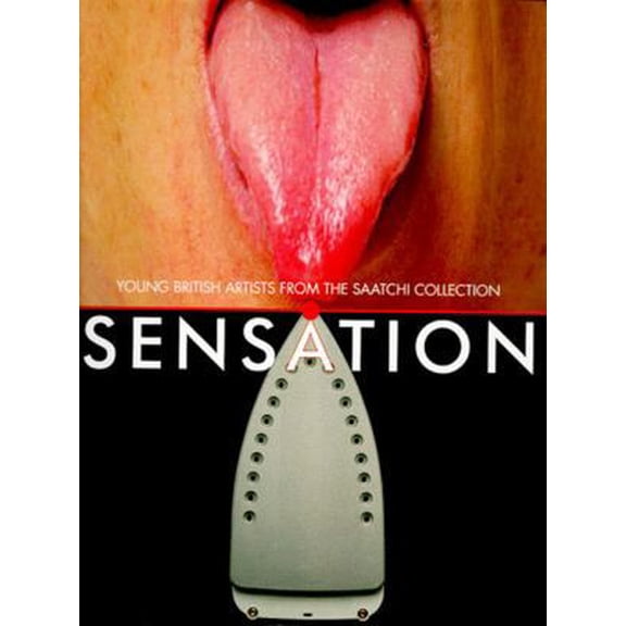 Pre-Owned Sensation: Young British Artists from the Saatchi Collection (Paperback) 0500280428 9780500280423