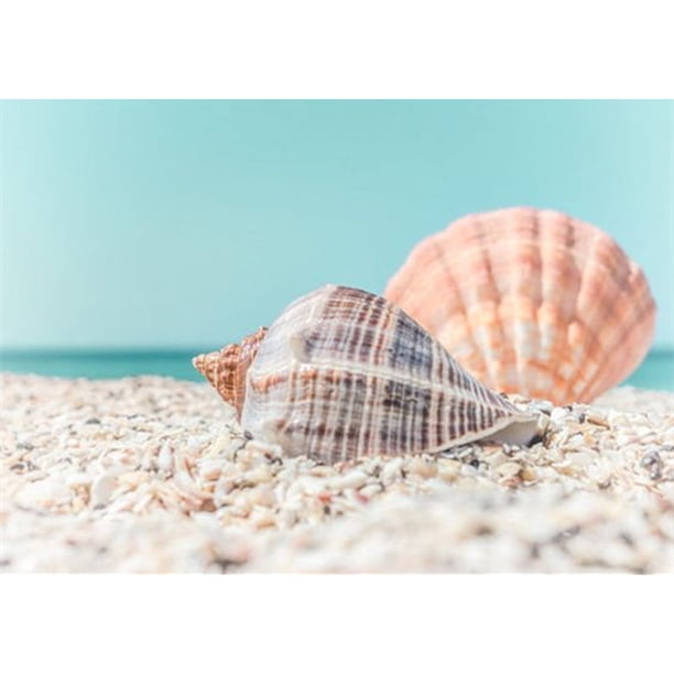 Taladro Diamond Painting (DE3321) 5D DIY Kit de punto de cruz completo (Playa de arena-k531) 30x40cm FLhrweasw Nuevo