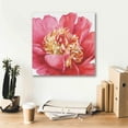 thumbnail image 6 of Epic Graffiti 'Pink Garden V' by Lisa Audit, Canvas Wall Art, 18"x18", 6 of 8